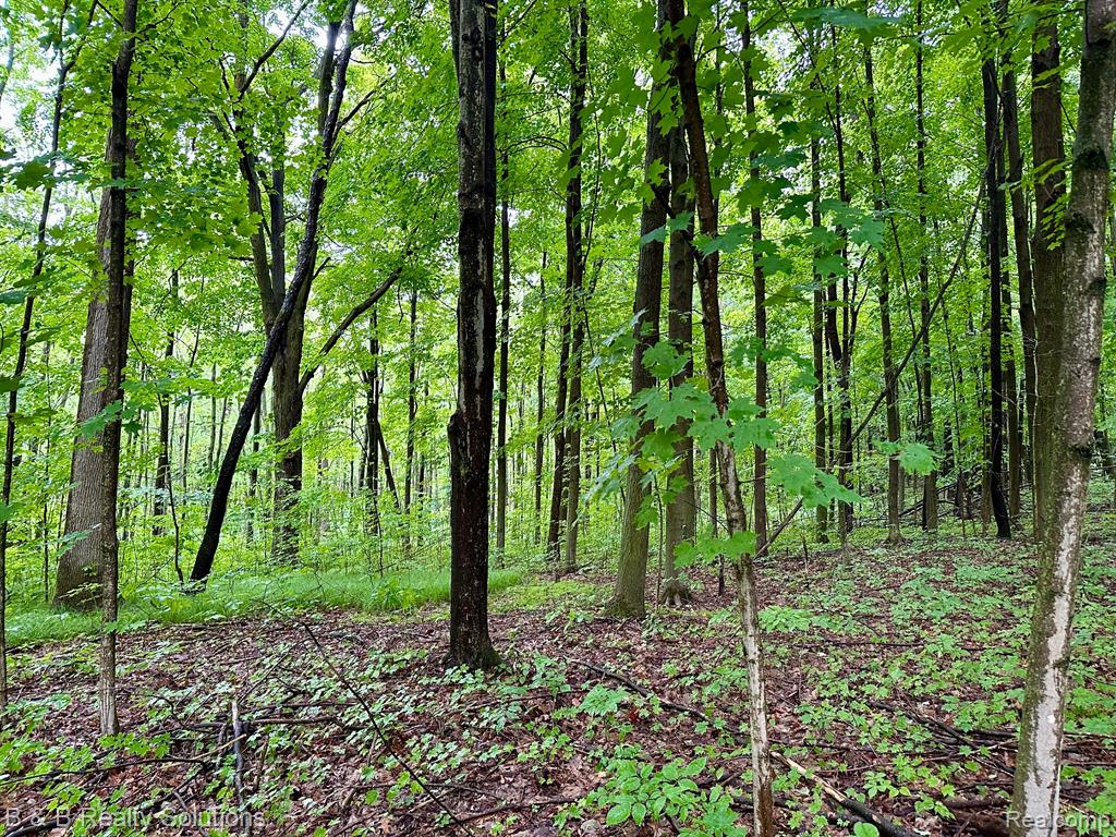 0 South Lake Pleasant Road Metamora, MI 48455 - Photo 5 of 32