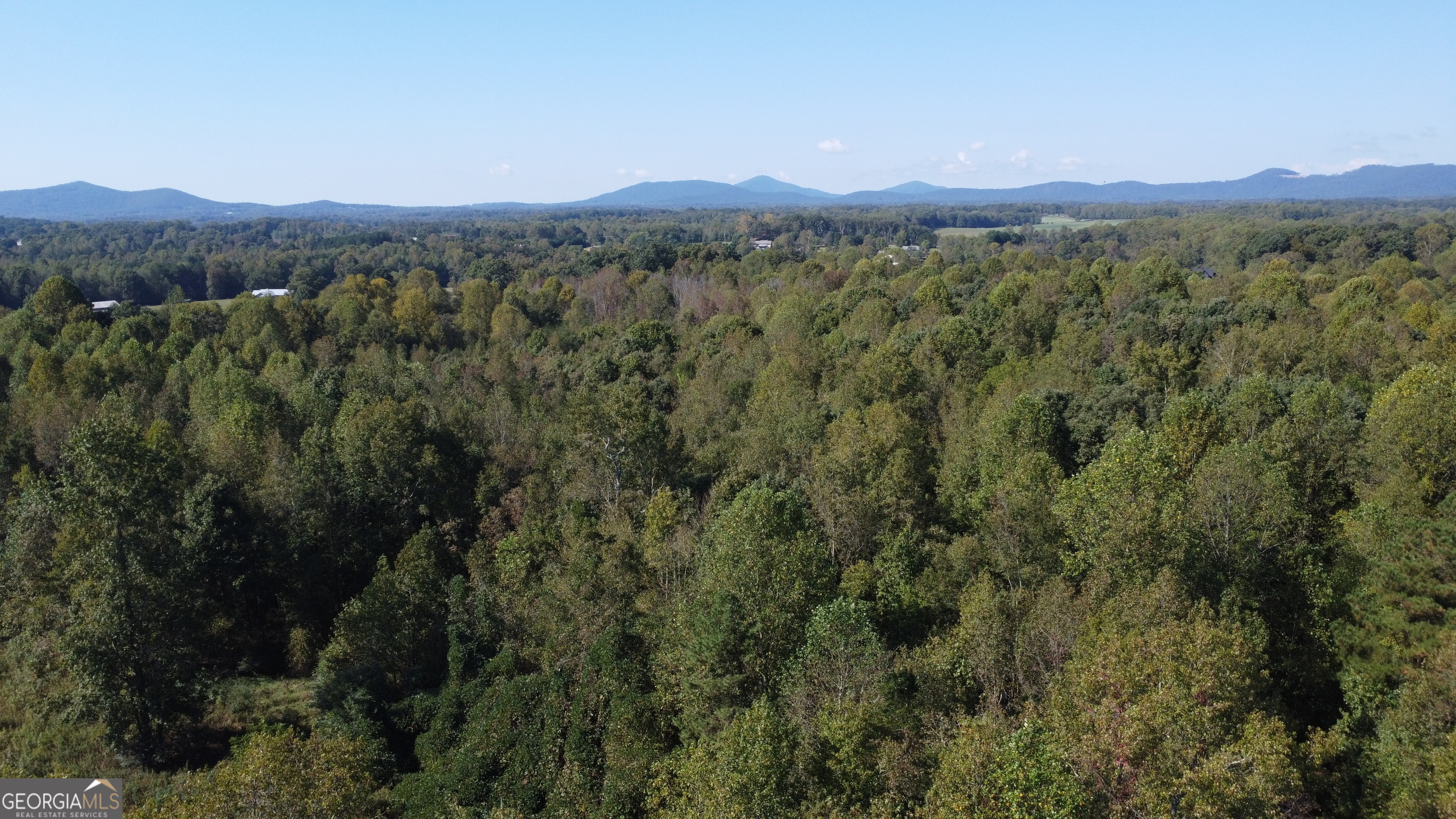 0 Holiness Campground Road Cleveland, GA 30528 - Photo 13 of 13