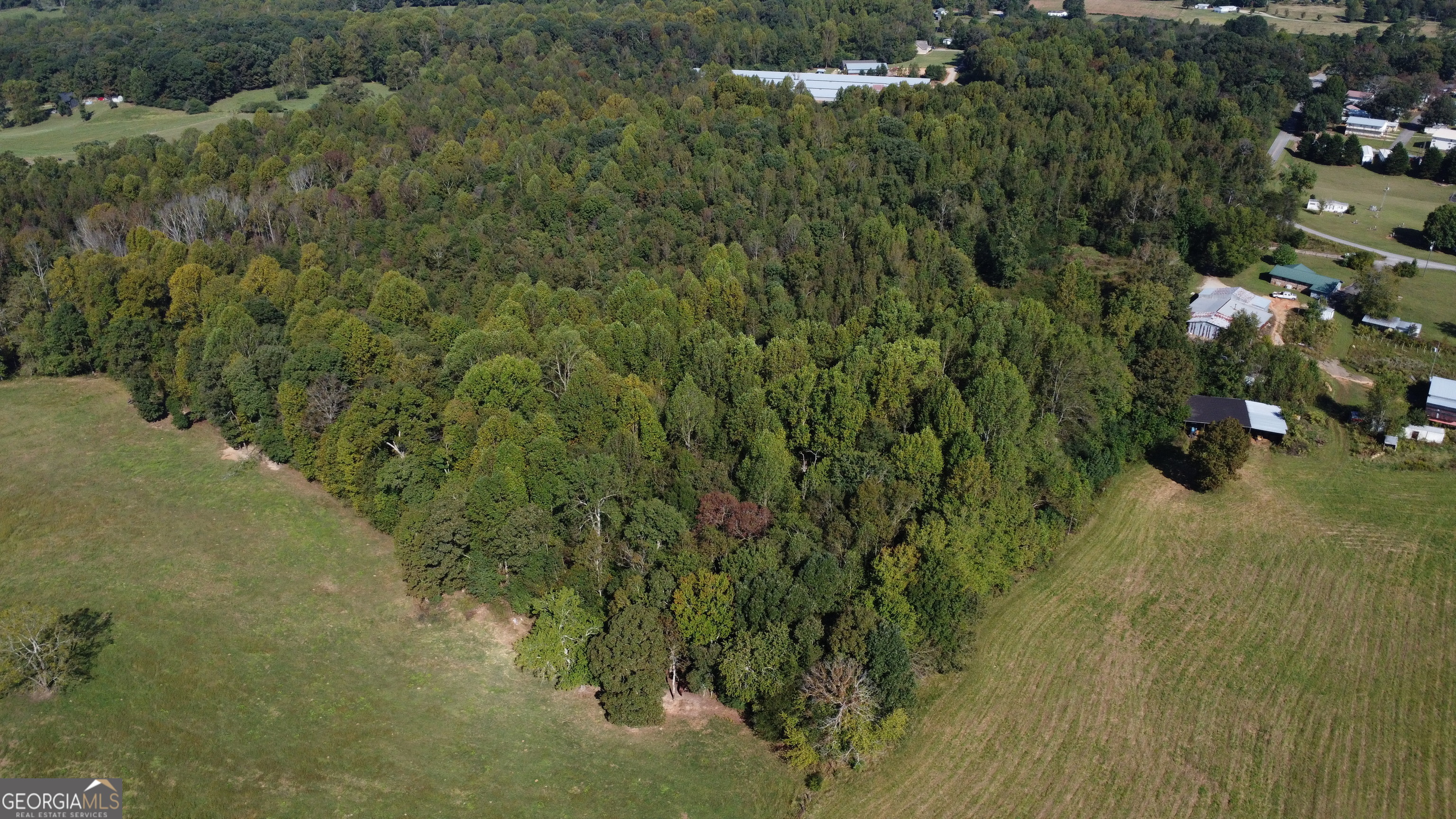 0 Holiness Campground Road Cleveland, GA 30528 - Photo 3 of 13