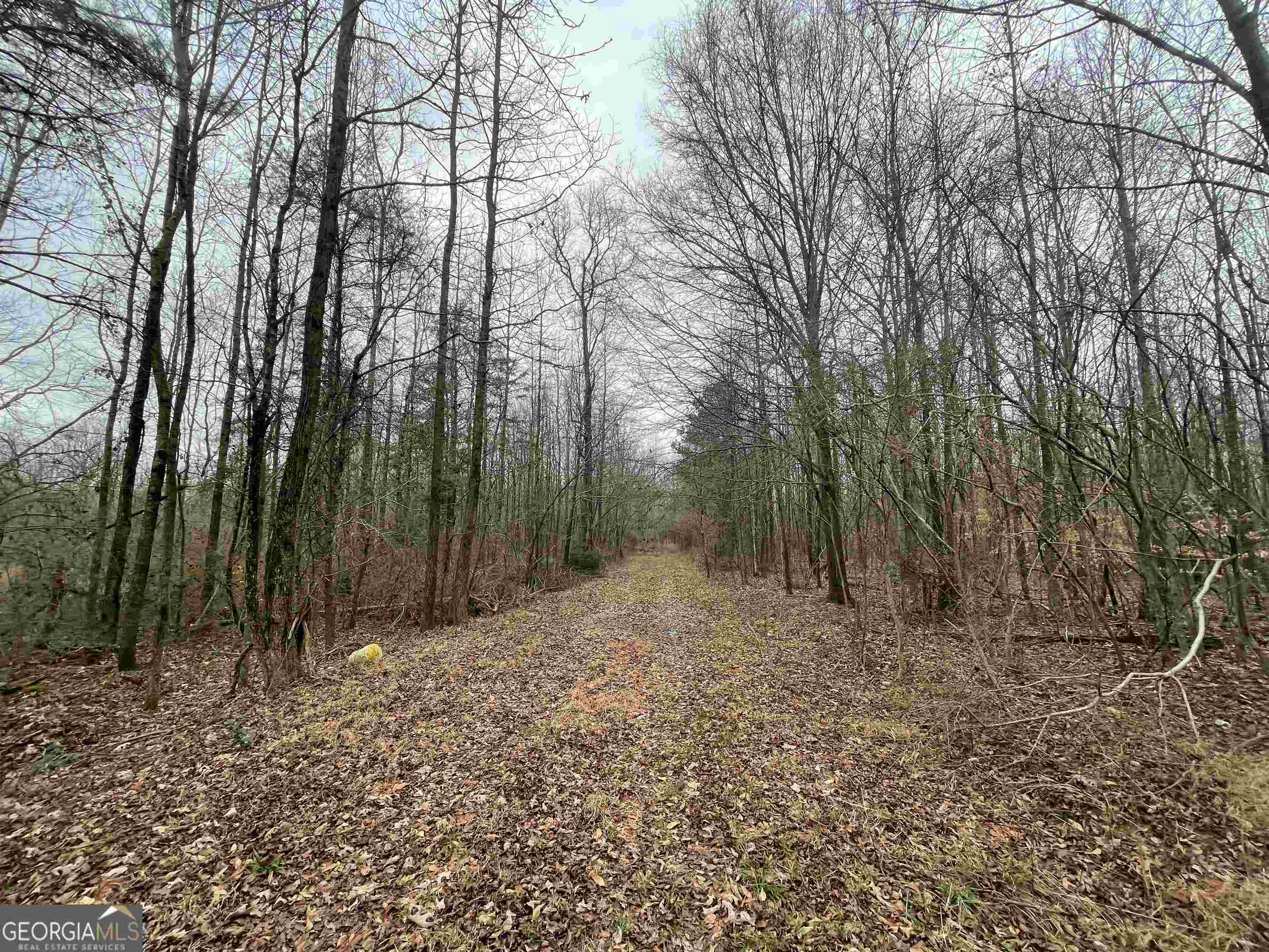 0 Holiness Campground Road Cleveland, GA 30528 - Photo 7 of 13