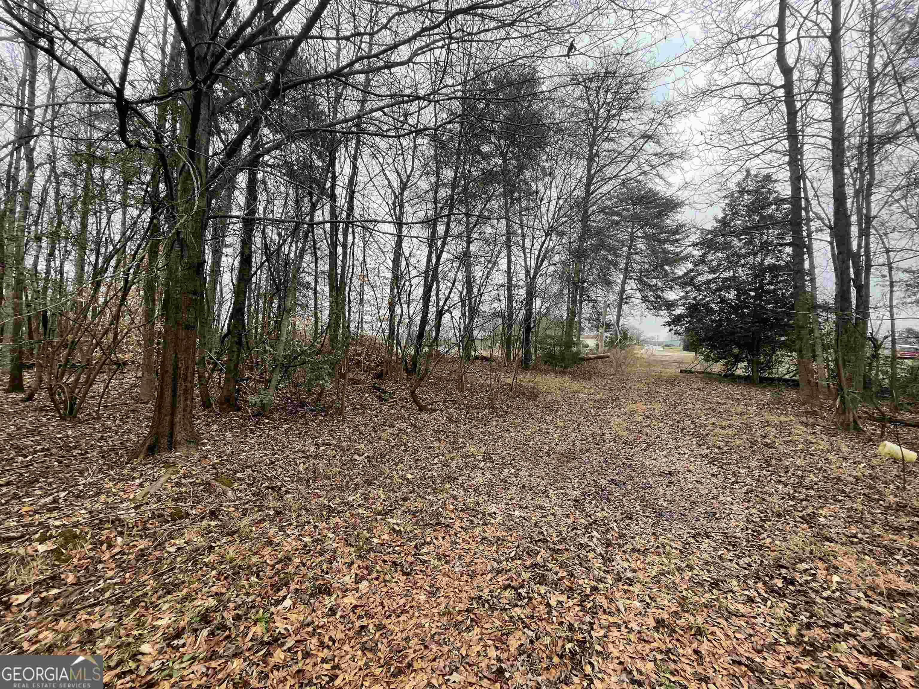 0 Holiness Campground Road Cleveland, GA 30528 - Photo 10 of 13