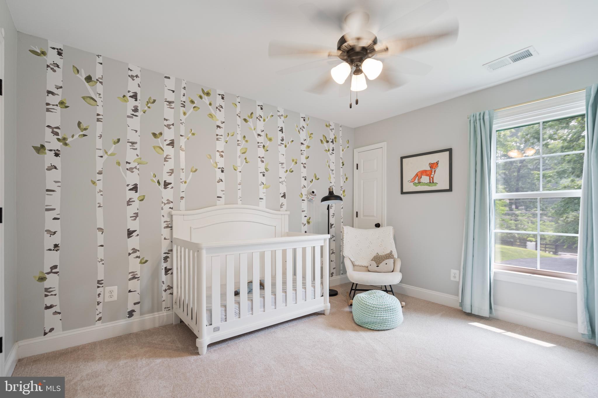 19829 Colchester Road Purcellville, VA 20132 - Photo 30 of 89 Bedroom 3