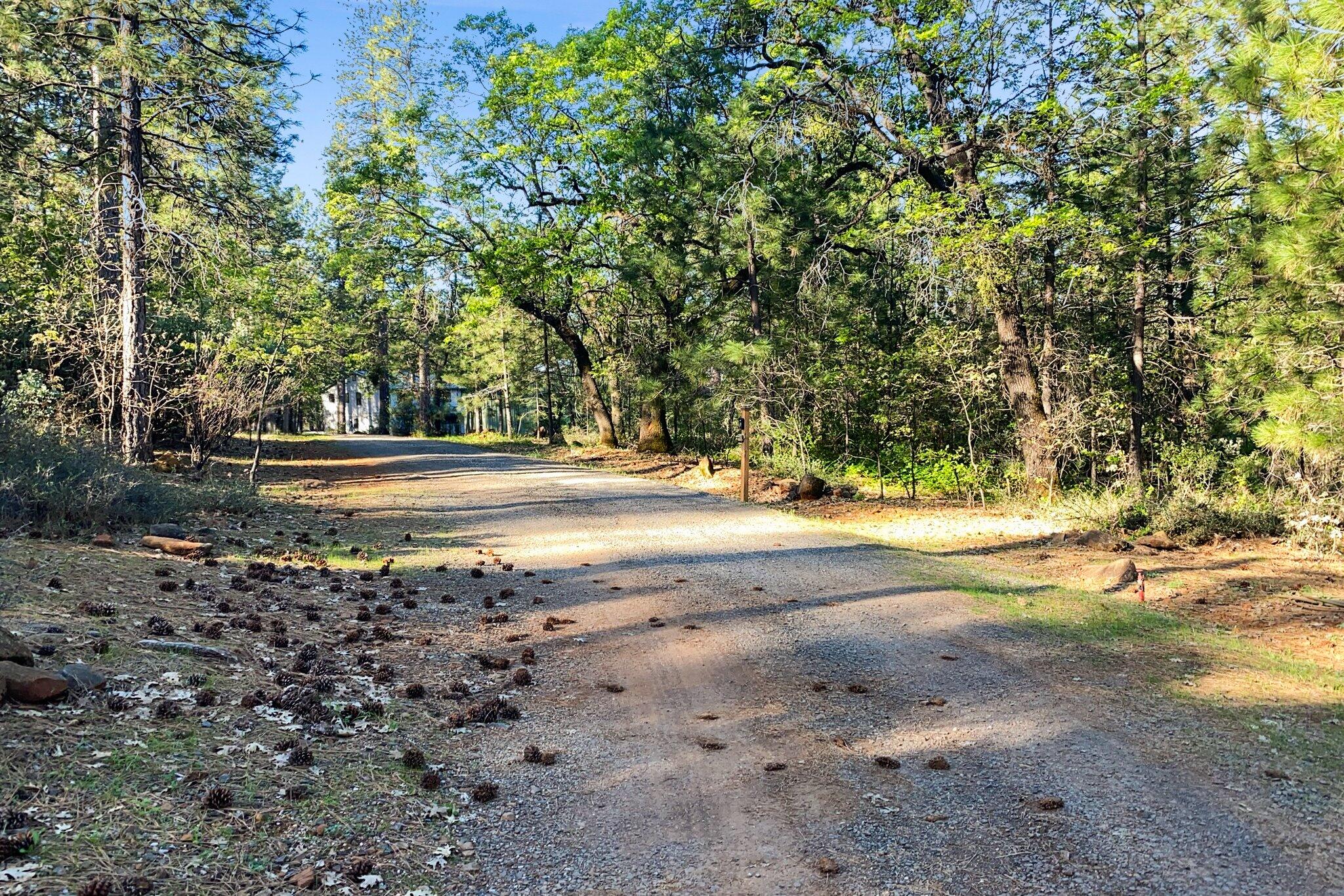 26997 Lookout Mountain Road Oak Run, CA 96069 - Photo 76 of 92 a view of dirt yard with a large tree