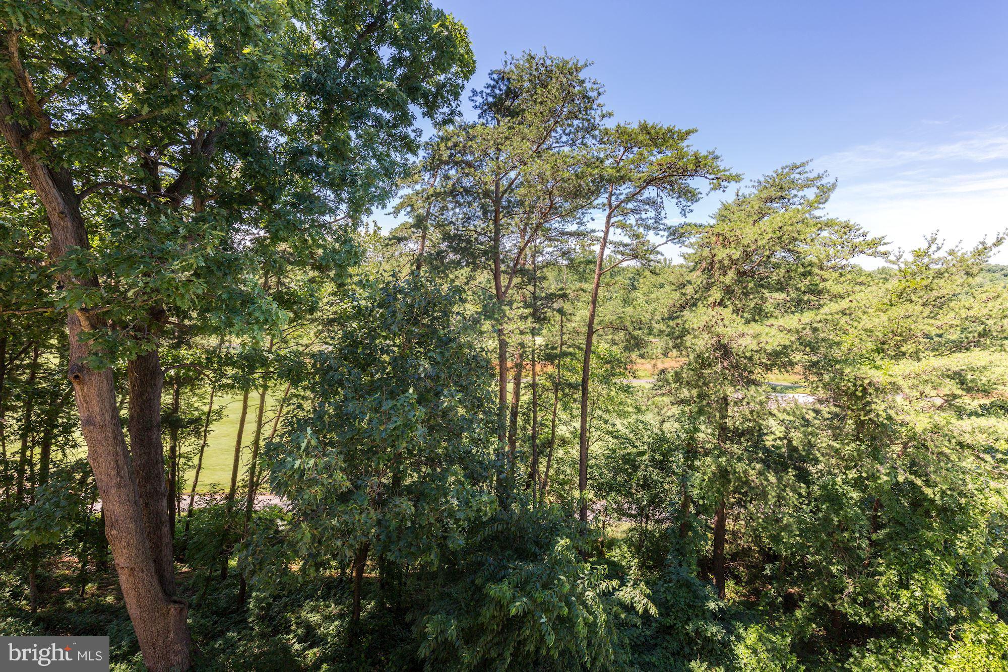 7305 Brookview Road, Unit 304 Elkridge, MD 21075 - Photo 15 of 45 Golf Course View in Winter Season
