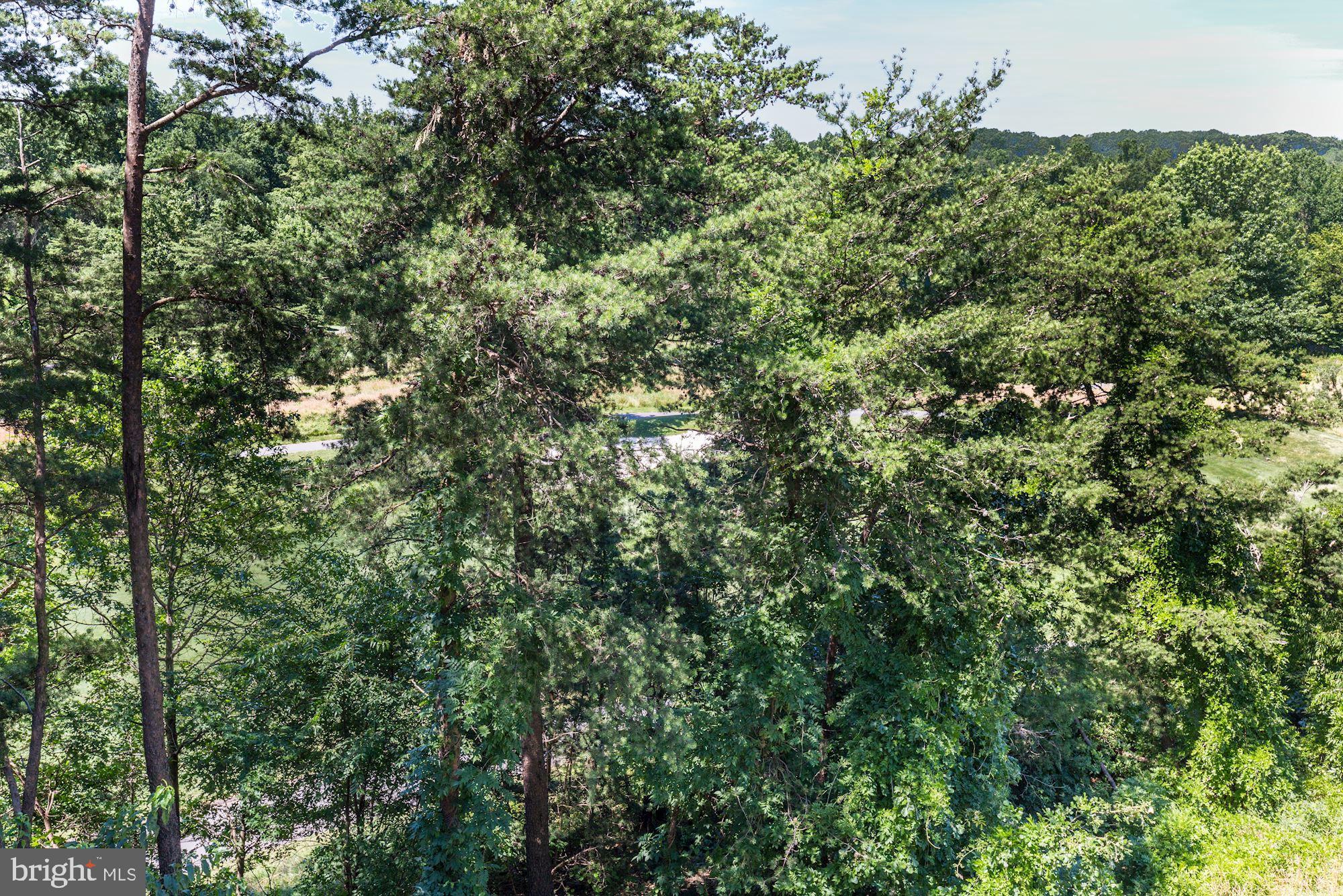7305 Brookview Road, Unit 304 Elkridge, MD 21075 - Photo 25 of 45 Same Beautiful View from Second Bedroom