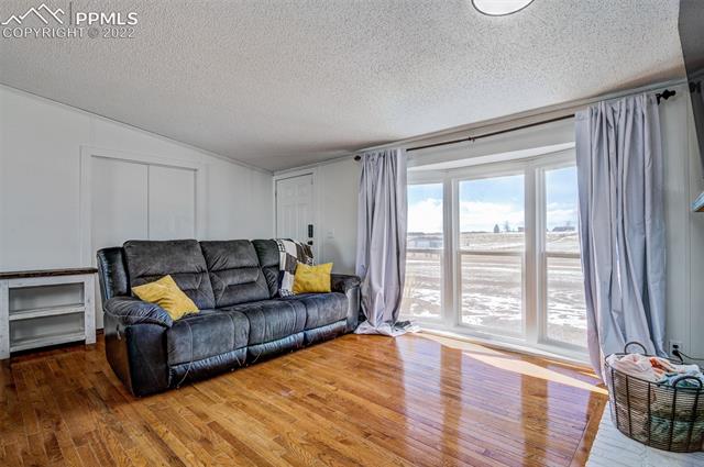 5705 Whipshaw Road Peyton, CO 80831 - Photo 8 of 34 Living Room, double doors lead to Den