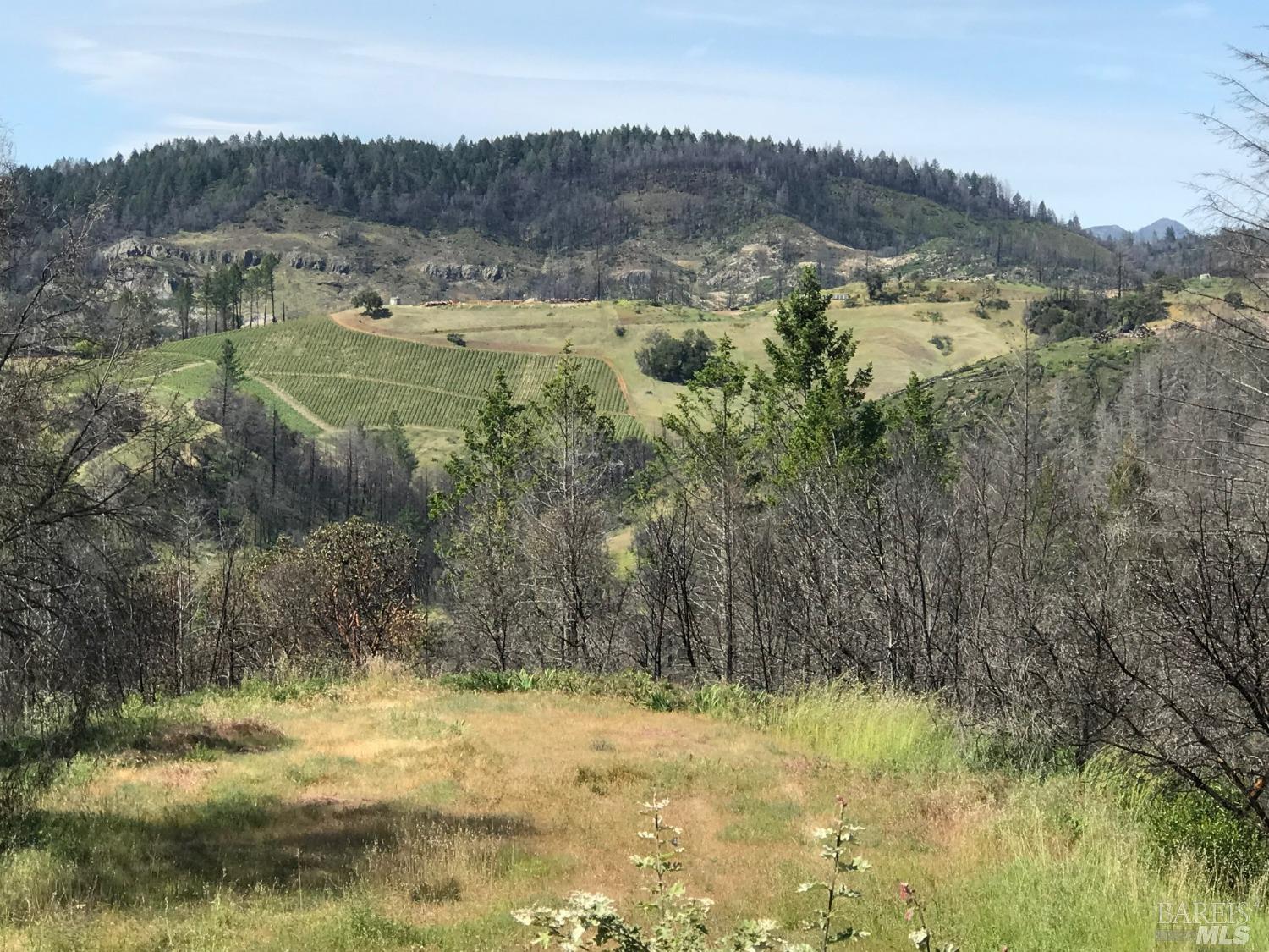 8590 St Helena Road Santa Rosa, CA 95404 - Photo 1 of 1 a view of a lake view and mountain view