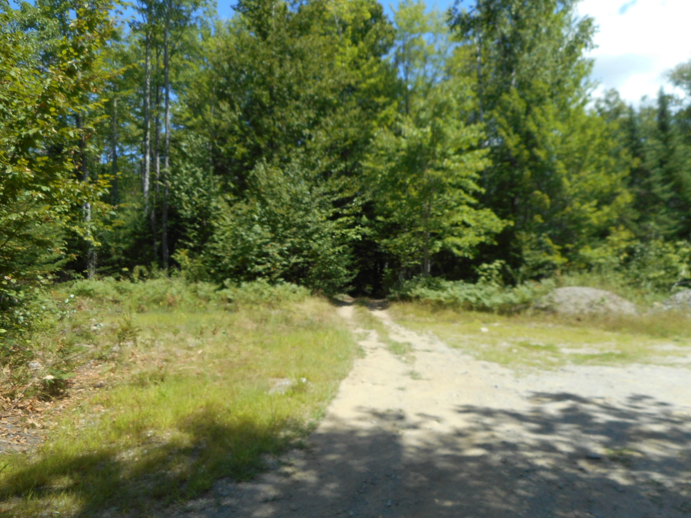 Tbd Tbd Wheeler Road Lincoln, ME 04457 - Photo 18 of 19 DSCN2620