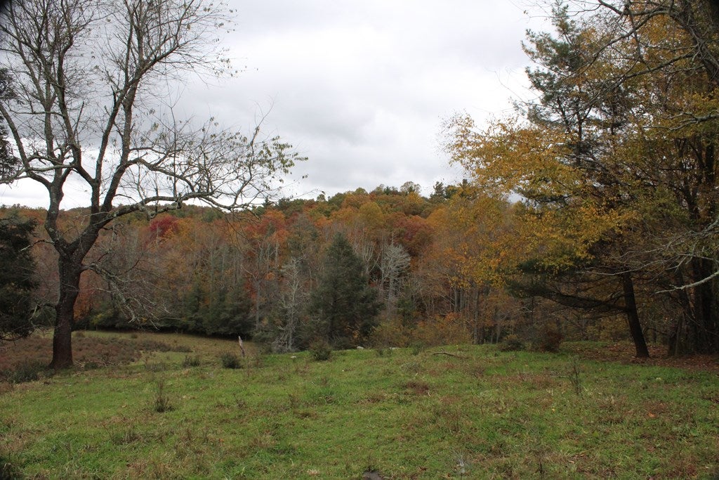Tbd Terry's Mill Road, Unit 121A61 Laurel Fork, VA 24352 - Photo 62 of 71 Gallery Image 62