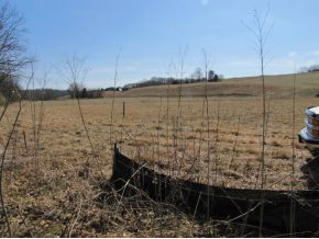 684 Slate Creek Road Greeneville, TN 37743 - Photo 21 of 23 Photo 22