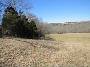 684 Slate Creek Road Greeneville, TN 37743 - Photo 3 of 23 Photo 3