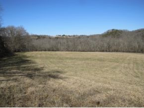684 Slate Creek Road Greeneville, TN 37743 - Photo 4 of 23 Photo 4