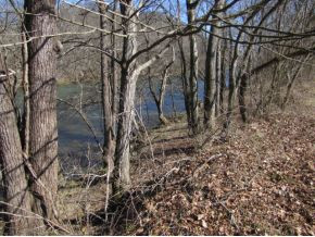 684 Slate Creek Road Greeneville, TN 37743 - Photo 7 of 23 Photo 7