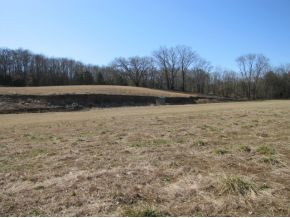 684 Slate Creek Road Greeneville, TN 37743 - Photo 8 of 23 Photo 8