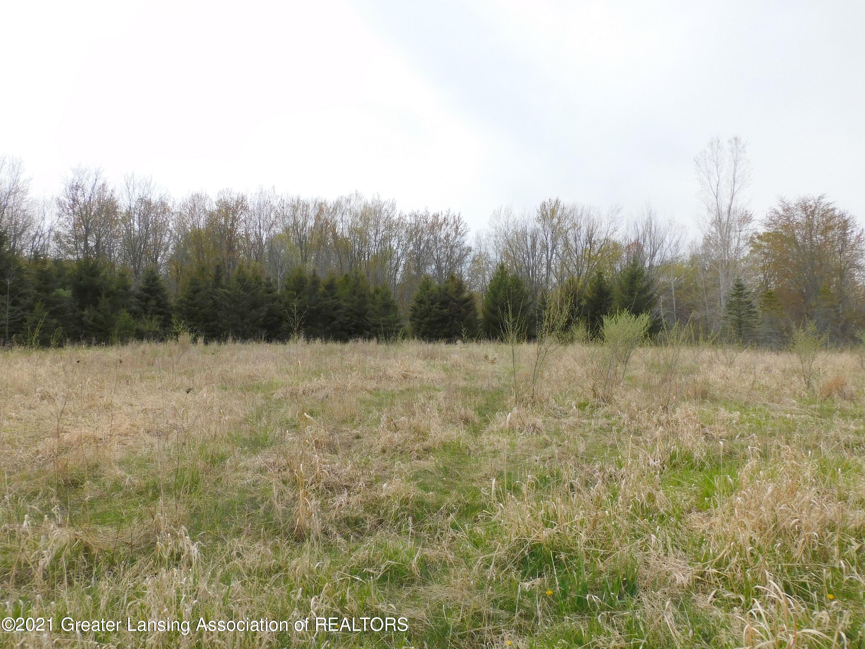 0 Garrison Road Laingsburg, MI 48848 - Photo 26 of 31 One of the clearings