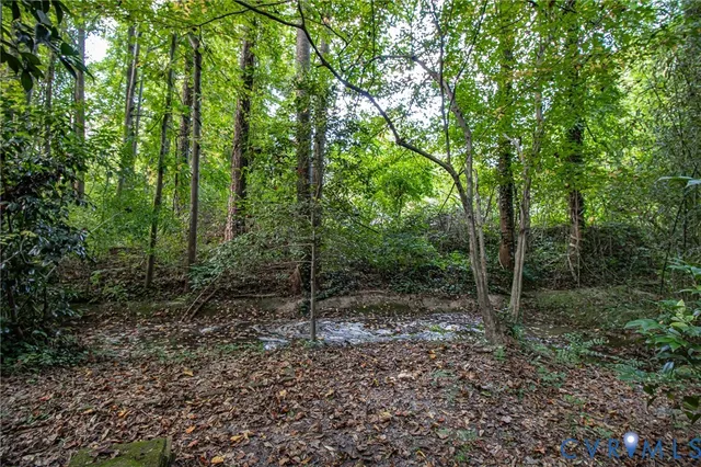 a view of a forest with trees in the background