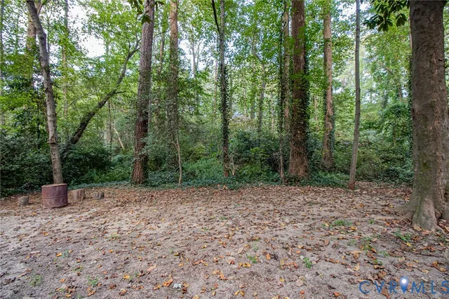 a view of a field with trees