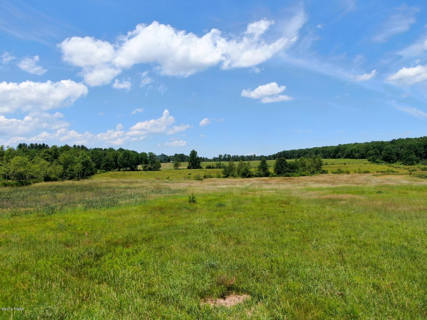 Lot 1 Slater Rd Beach Lake Beach Lake, PA 18405 - Photo 1 of 5