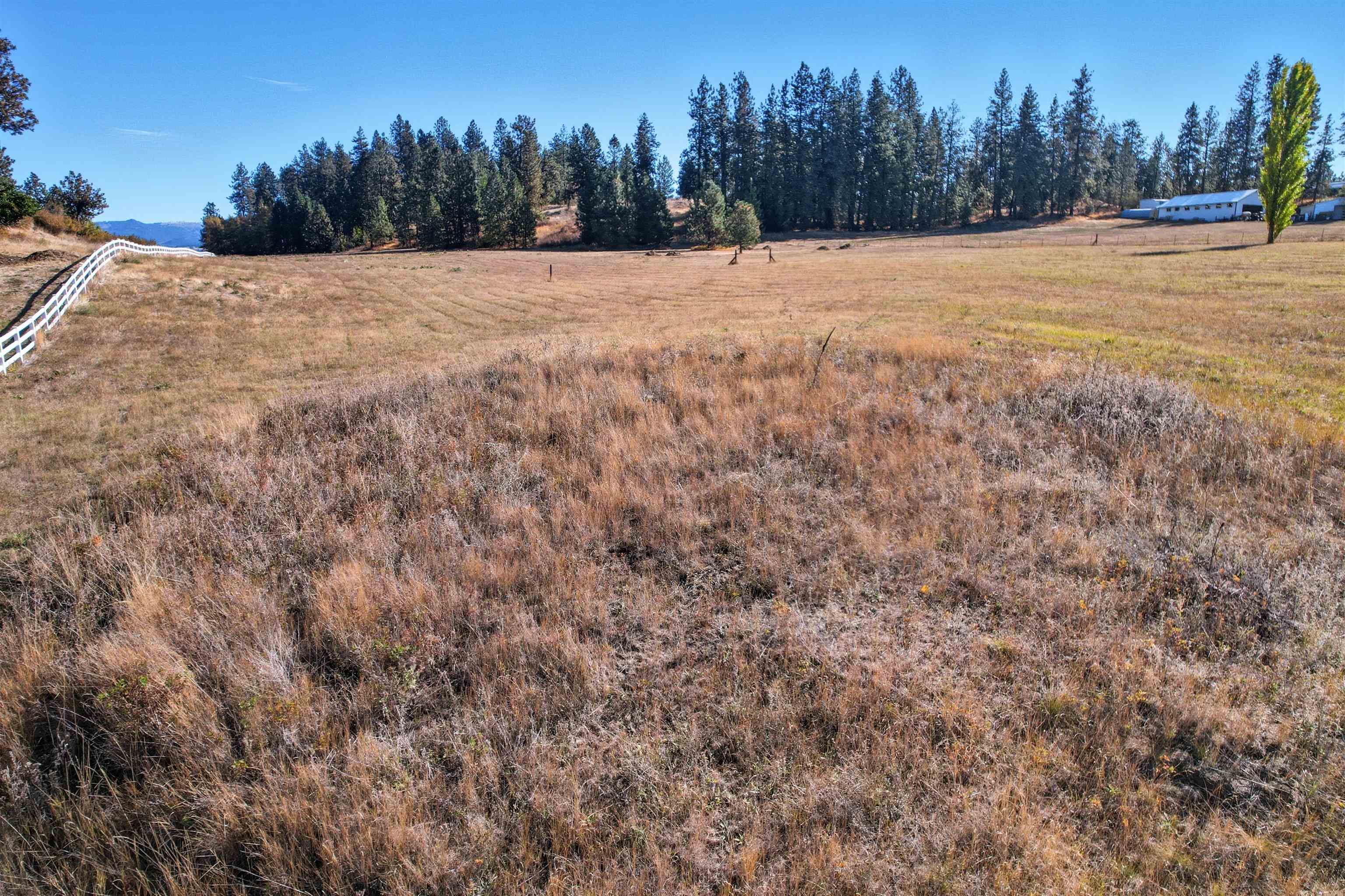 3845 South Conklin Road Greenacres, WA 99016 - Photo 10 of 12 Gallery Image 10