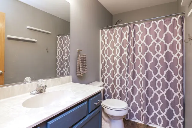 a bathroom with a sink and a toilet