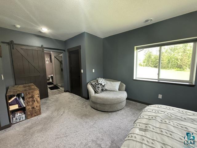 3454 Anderson Road Hibbing, MN 55746 - Photo 7 of 31 Spacious interior room featuring light-colored carpeting, a large window, and a dark wood barn door