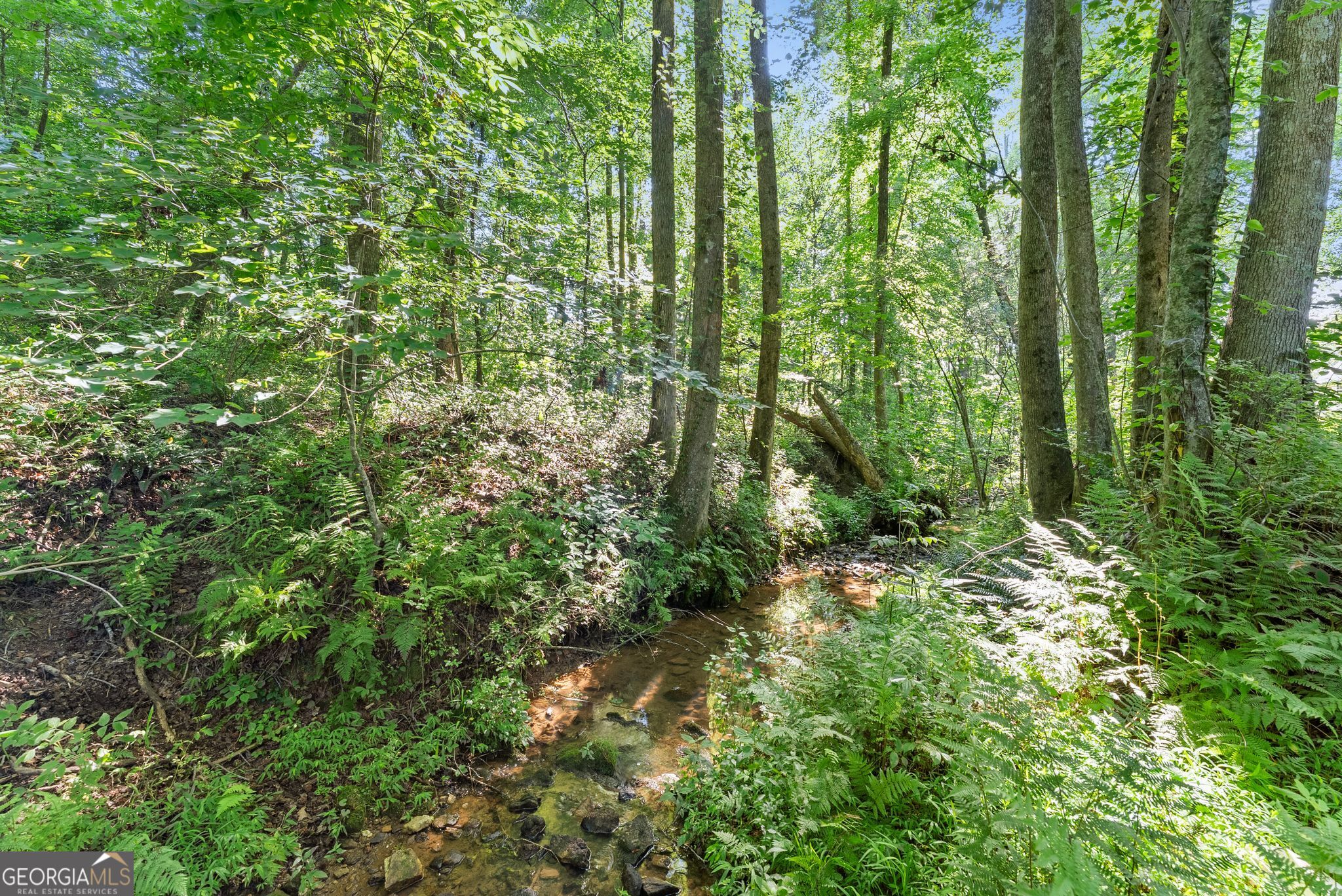 638 Hazel Creek Road Mount Airy, GA 30563 - Photo 43 of 50
