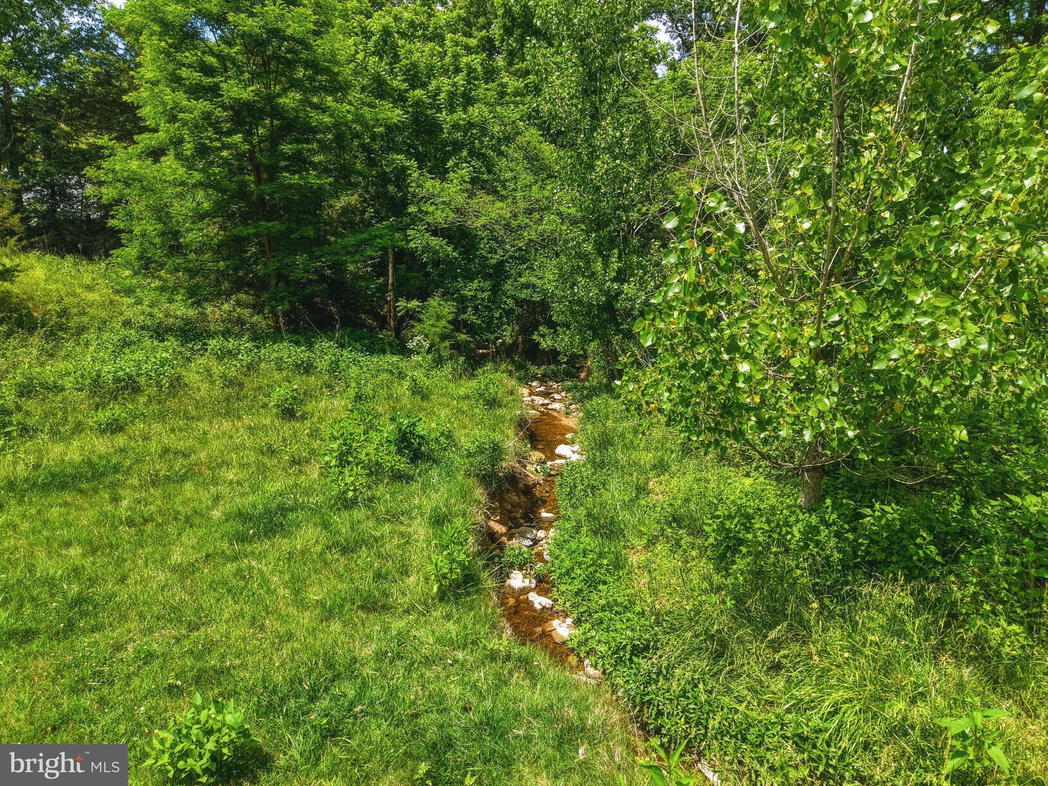 Newport Road Shenandoah, VA 22849 - Photo 2 of 15