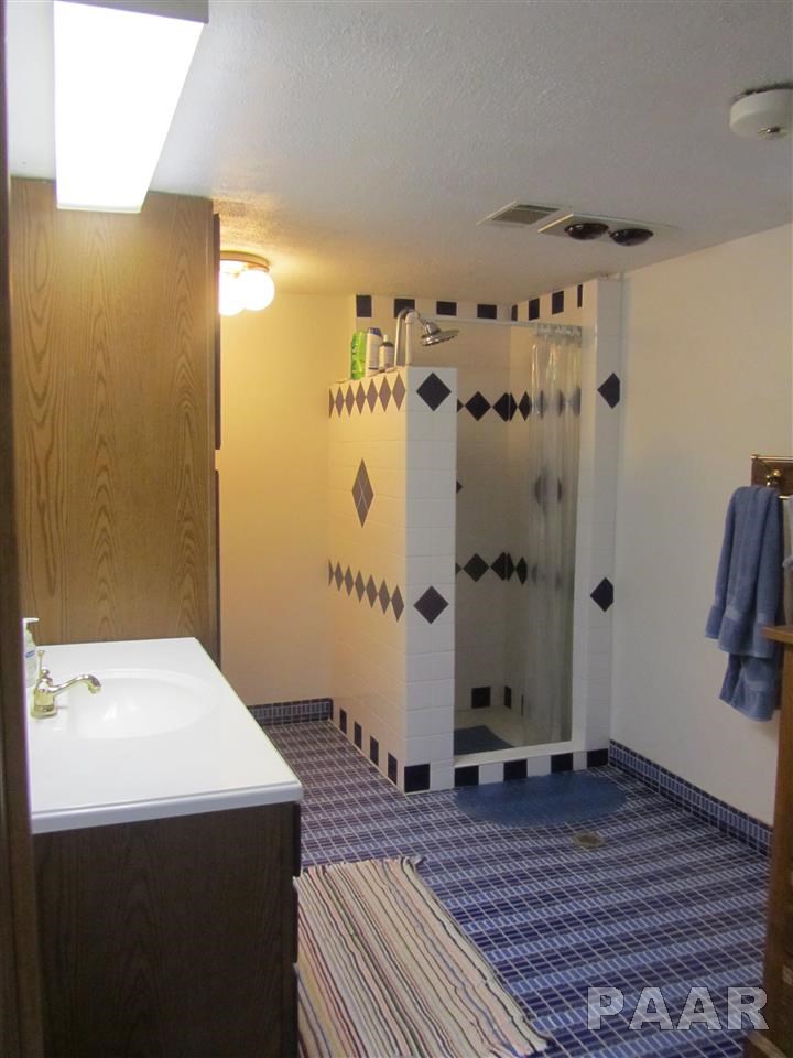 758 Towerline Road Delavan, IL 61734 - Photo 9 of 16