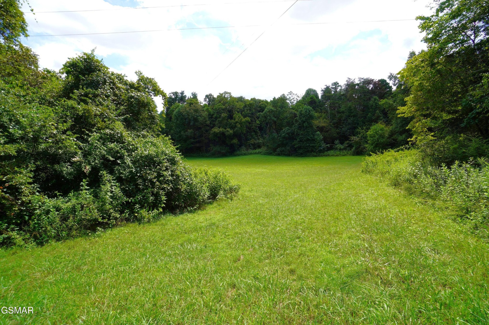 0 Whittle Road New Market, TN 37820 - Photo 18 of 23 Gallery Image 18