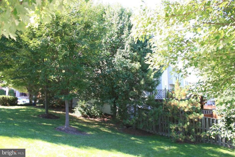 9502 Bellhaven Court Frederick, MD 21701 - Photo 24 of 24 a view of a park with large trees
