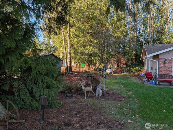 a view of backyard with table and chairs and a large tree