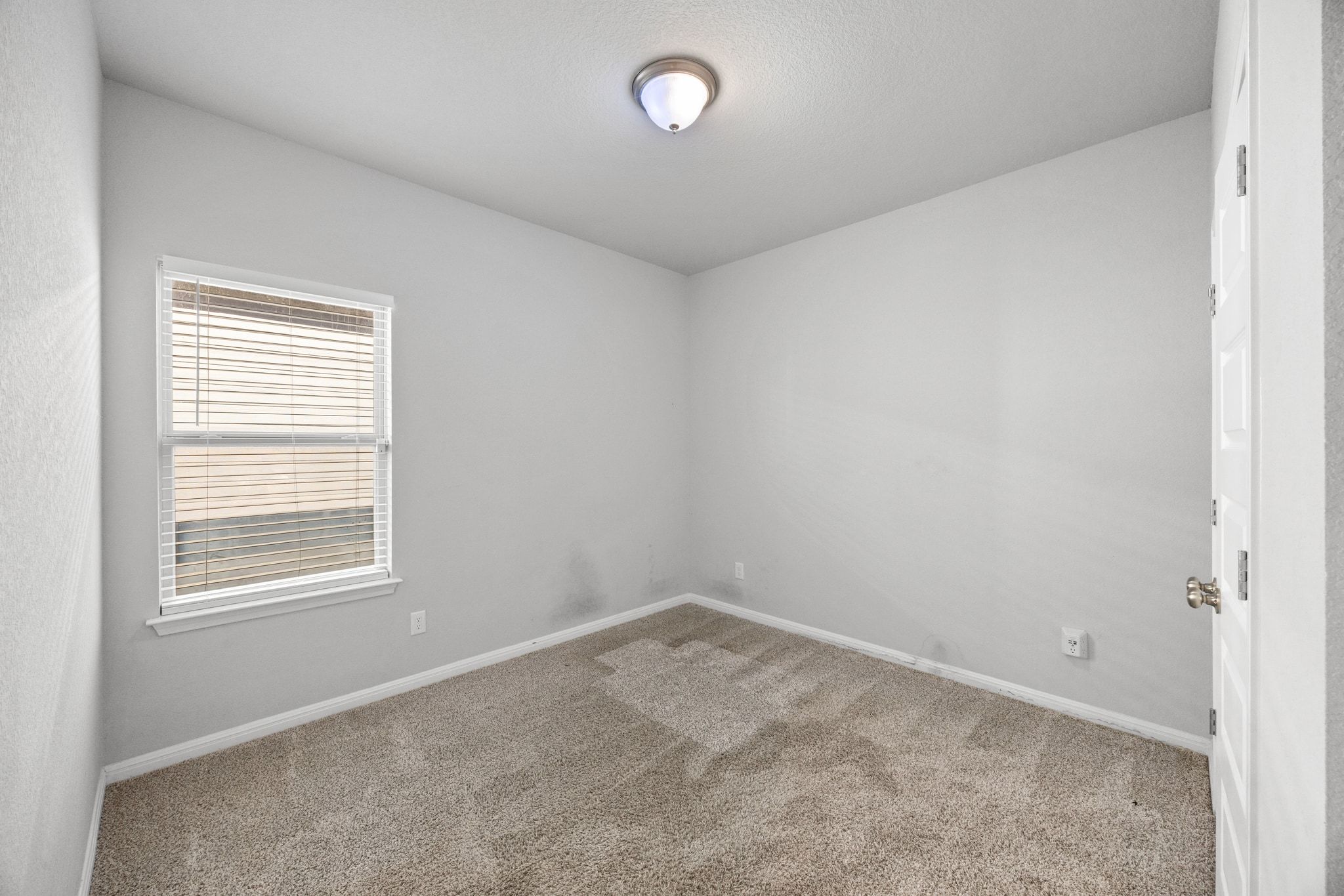 225 Unforgiven Lane Jarrell, TX 76537 - Photo 18 of 30 Spare room with carpet flooring and baseboards