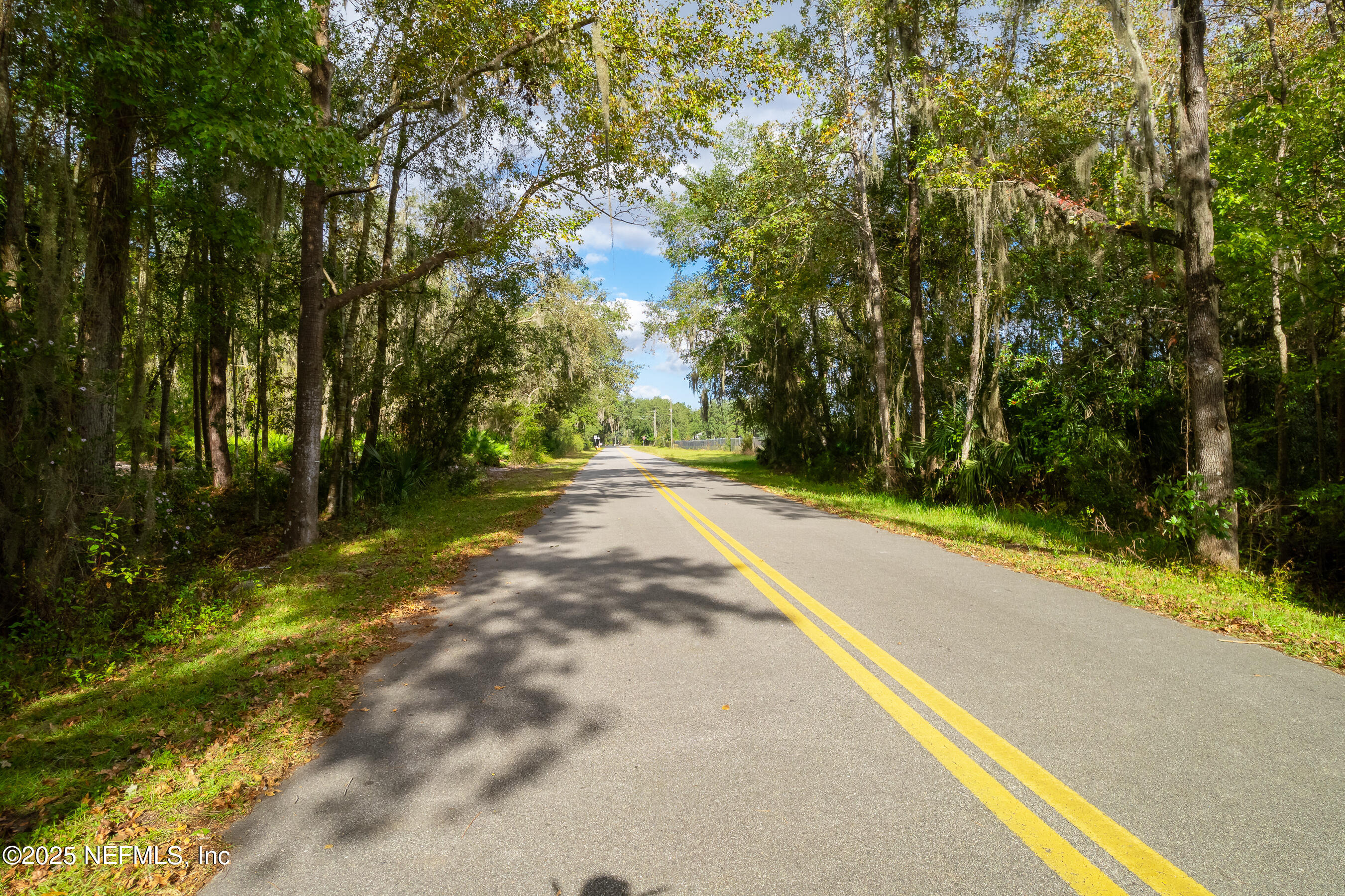 127 Landmark Avenue Satsuma, FL 32189 - Photo 2 of 14 a view of a yard with plants