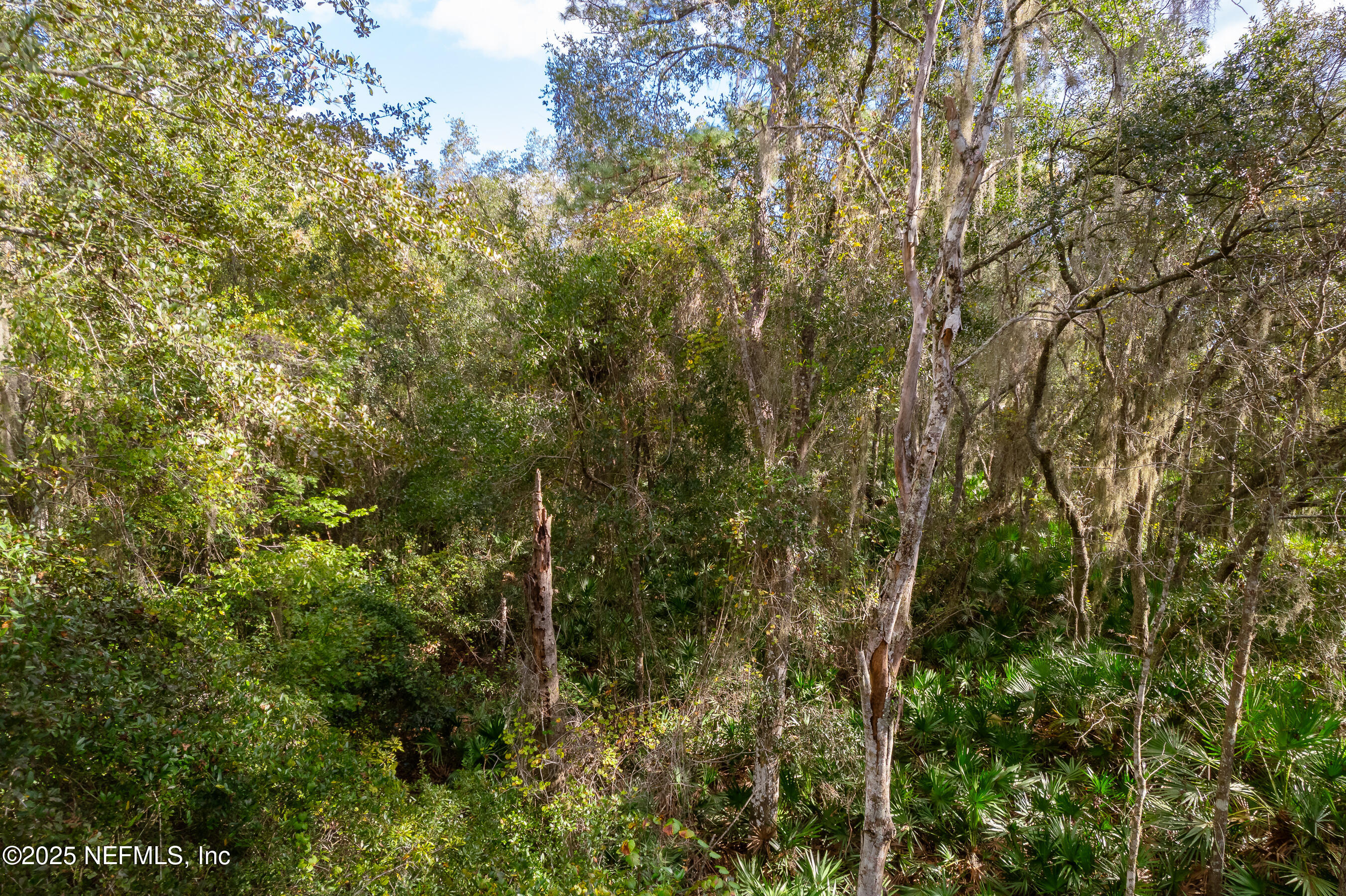 127 Landmark Avenue Satsuma, FL 32189 - Photo 3 of 14 a view of a tree