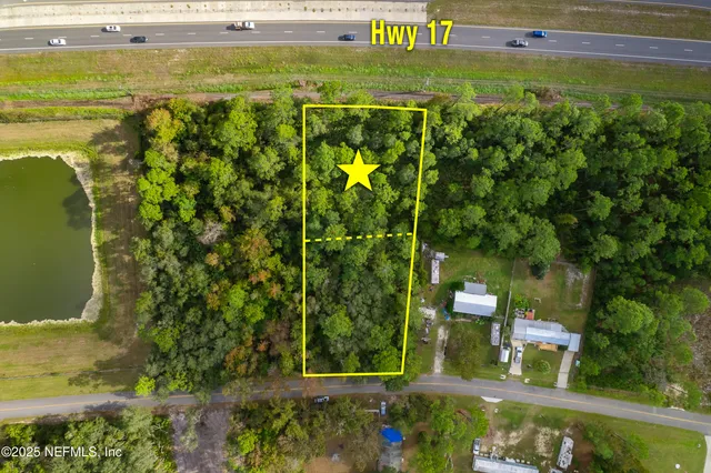 a view of a yard with plants