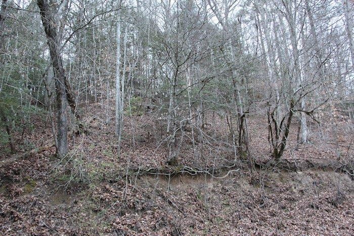 0 Parcel 058.00 Pearl Valley Road Sevierville, TN 37876 - Photo 12 of 13 Gallery Image 12