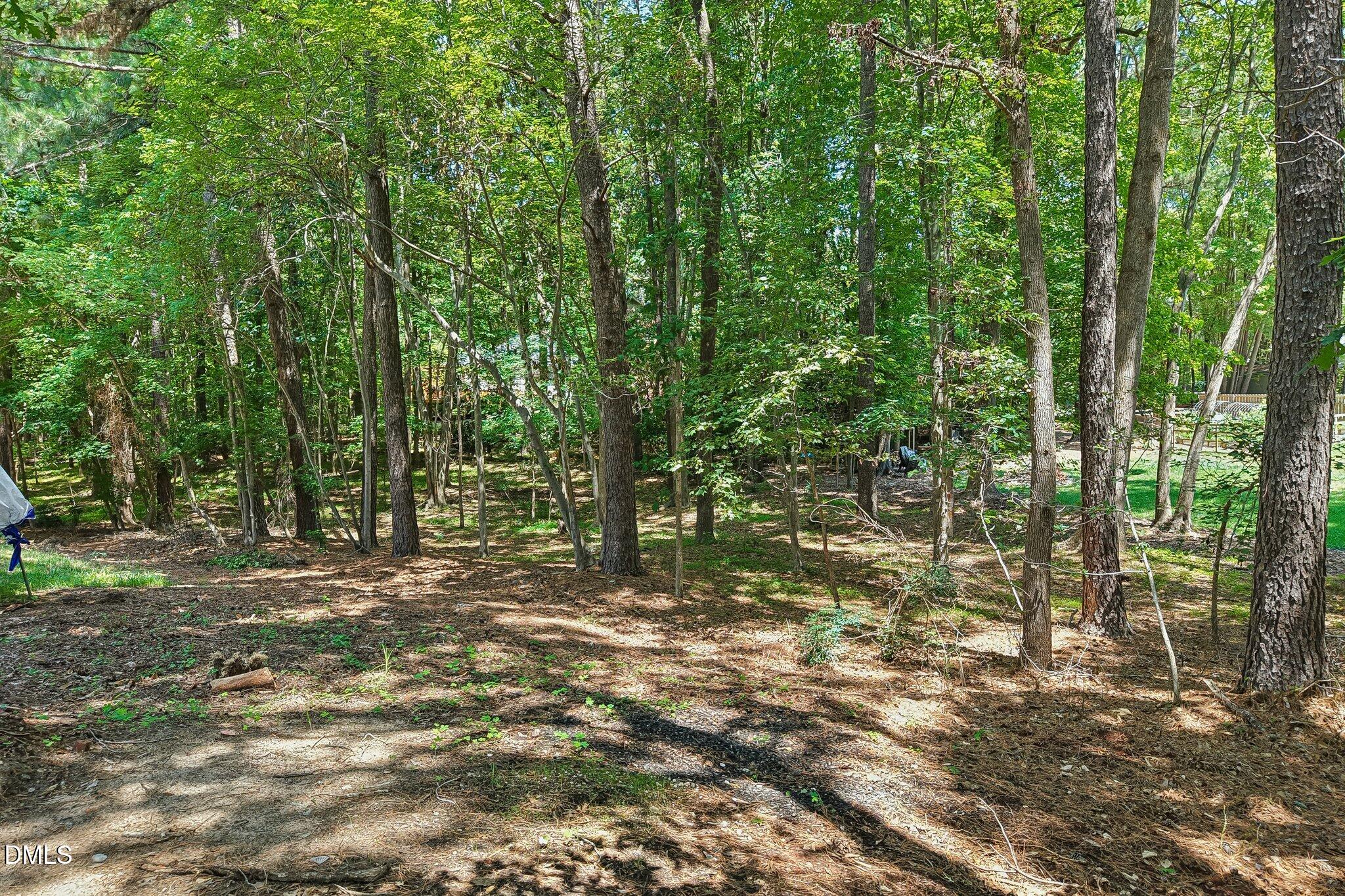 204 Jansmith Lane Raleigh, NC 27615 - Photo 60 of 67 69-web-or-mls-Jansmith Ln-S0207-068