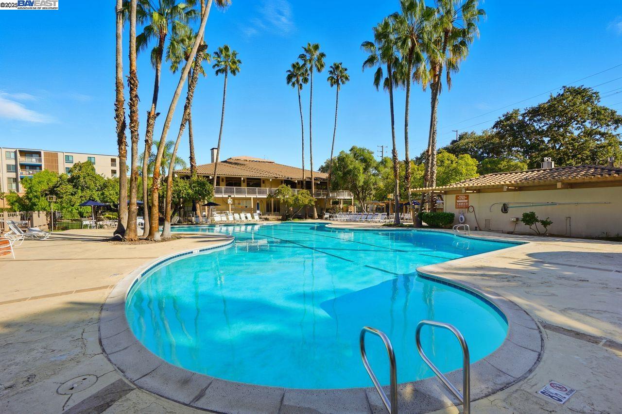 310 North Civic Drive, Unit 102 Walnut Creek, CA 94596 - Photo 26 of 39 a view of a swimming pool with a patio