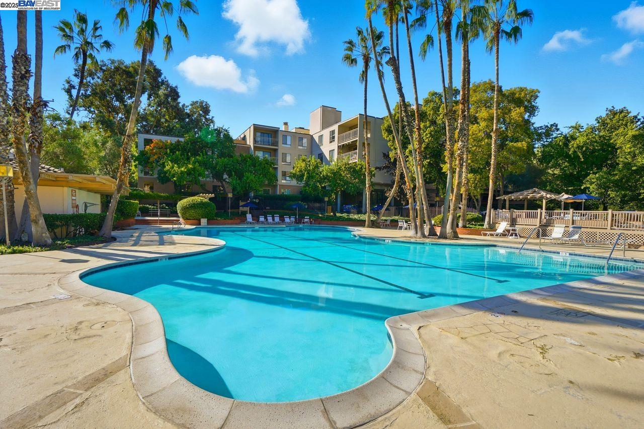310 North Civic Drive, Unit 102 Walnut Creek, CA 94596 - Photo 28 of 39 a swimming pool with outdoor seating and yard