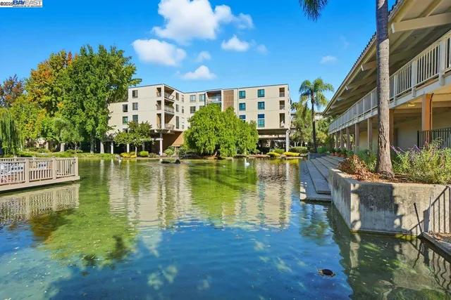a view of a lake with houses in the back