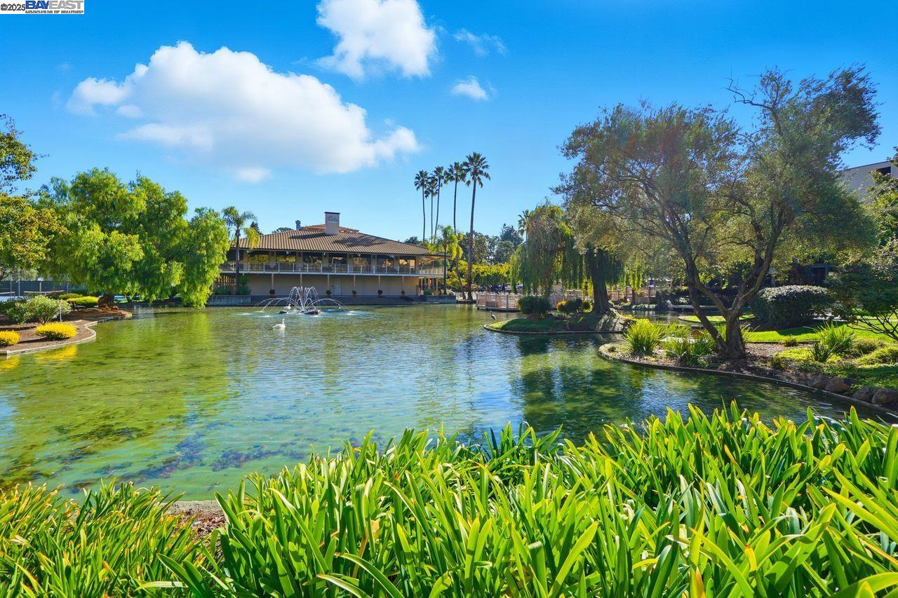 310 North Civic Drive, Unit 102 Walnut Creek, CA 94596 - Photo 30 of 39 a view of a lake with houses in the back