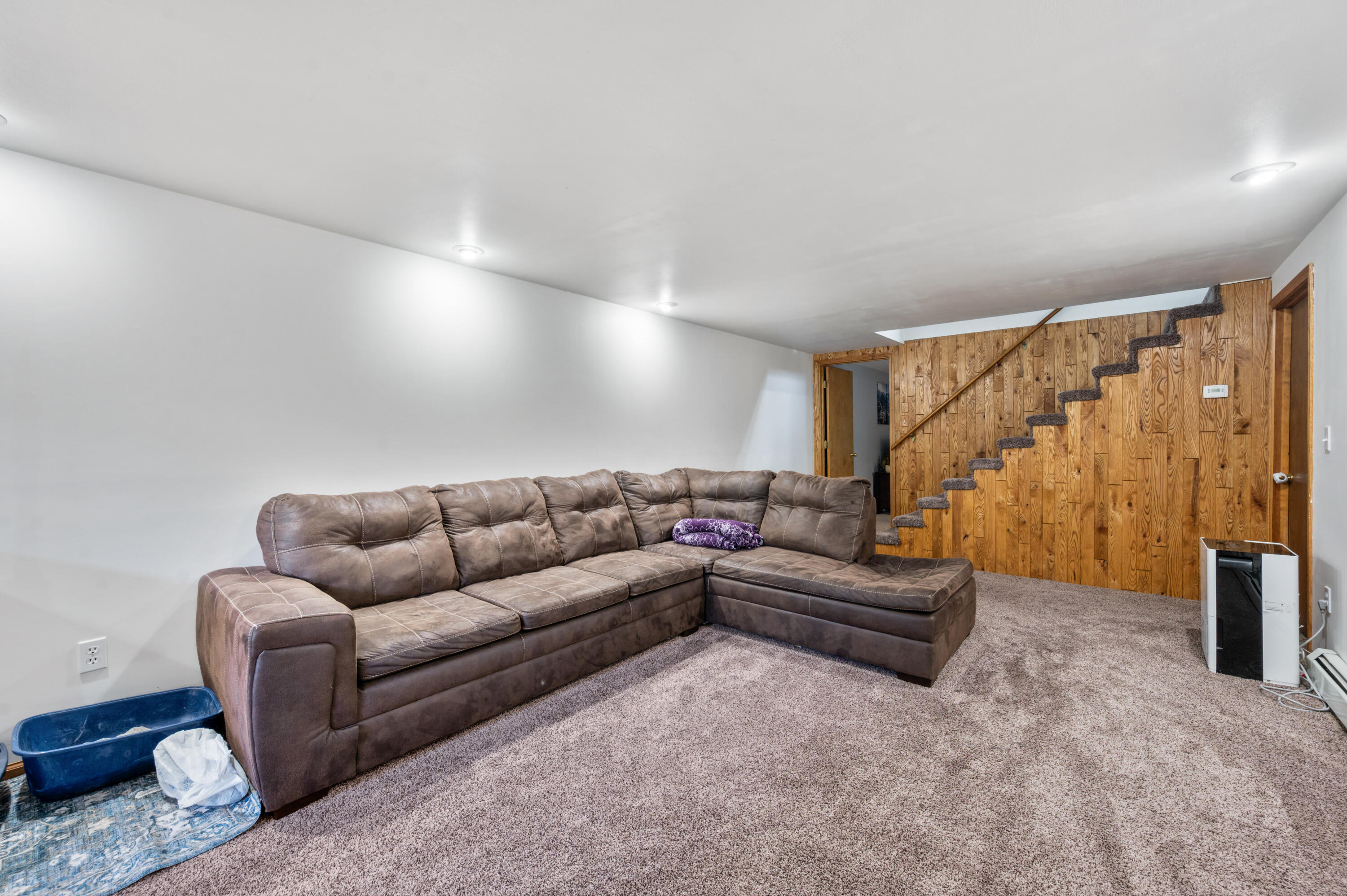20565 Okemos Road Big Rapids, MI 49307 - Photo 21 of 30 20565-OkemosRd-BR-19