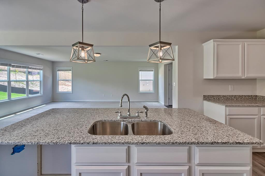 737 Justify Loop Graniteville, SC 29829 - Photo 4 of 9 Large, open concept family room-kitchen/ / photo o