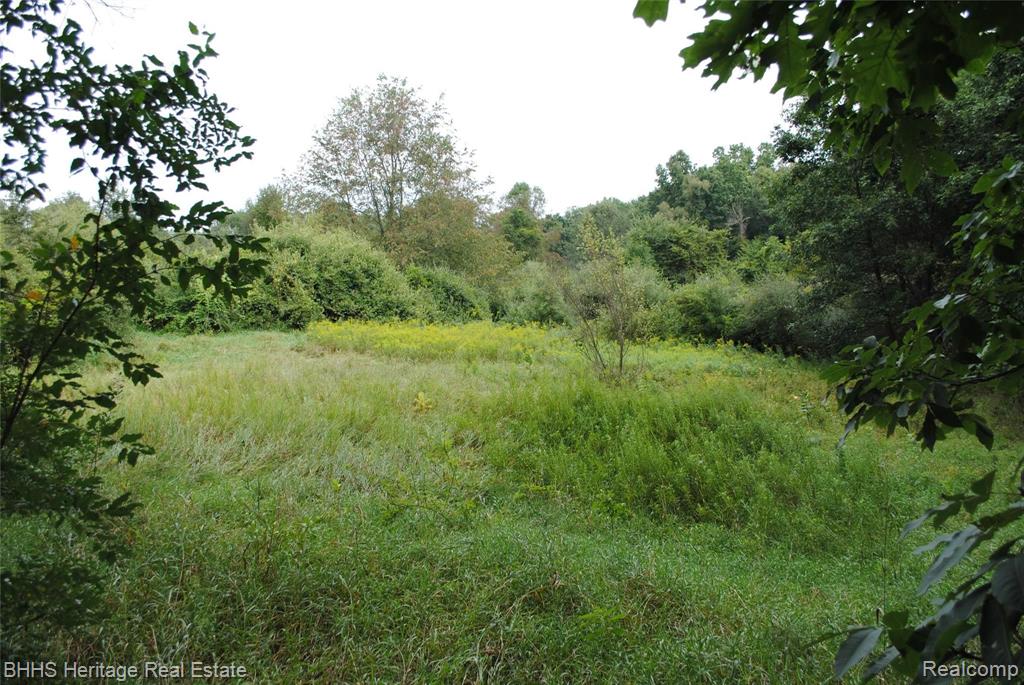0 Wasson Road Gregory, MI 48137 - Photo 4 of 7