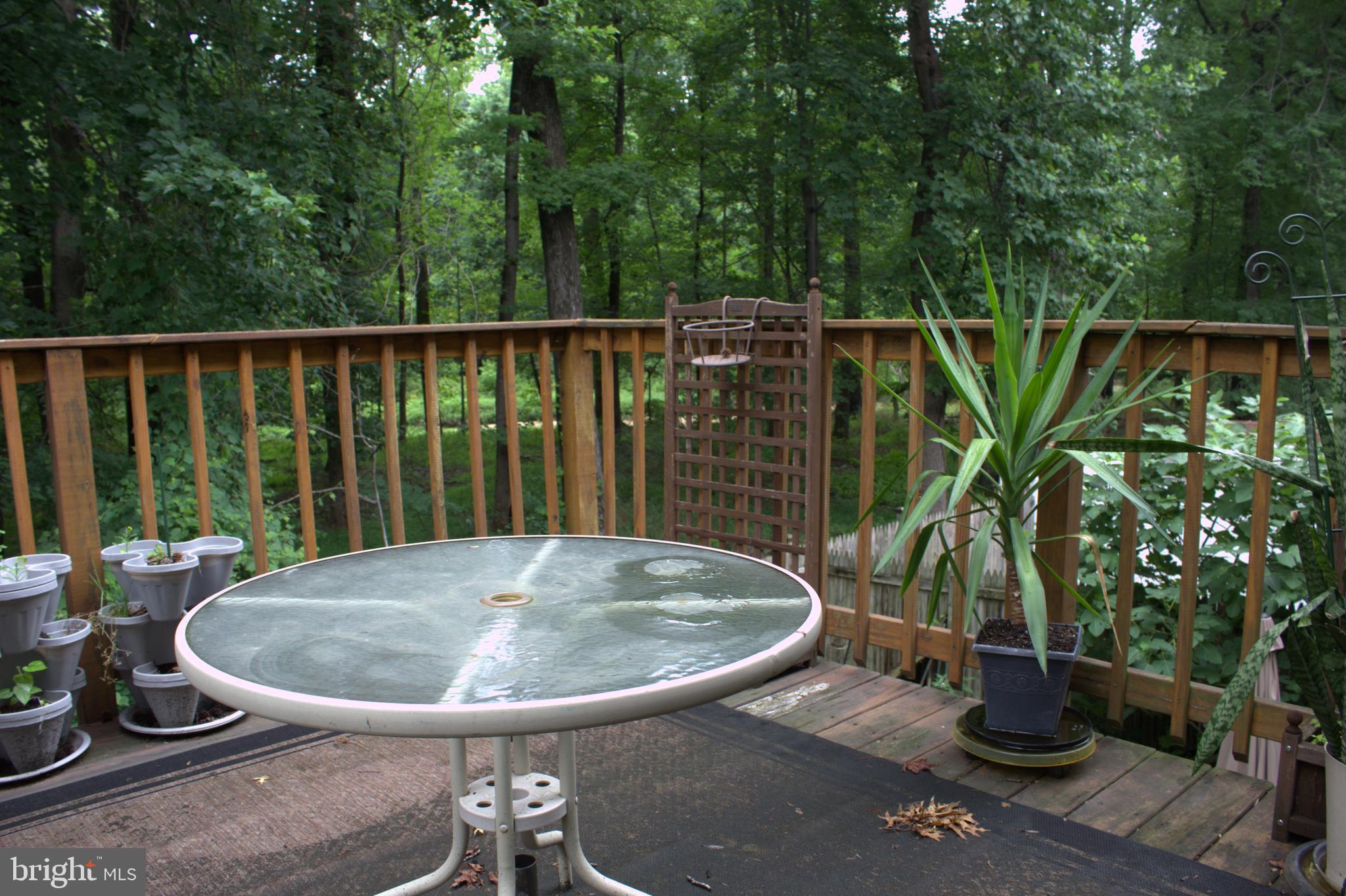 1902 Valley Terrace Southeast Washington, DC 20032 - Photo 28 of 33 a view of balcony with a potted plant and a sink
