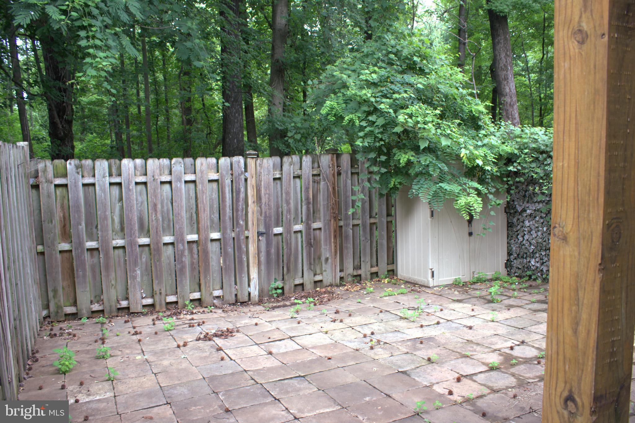 1902 Valley Terrace Southeast Washington, DC 20032 - Photo 32 of 33 a backyard of a house with plants and trees