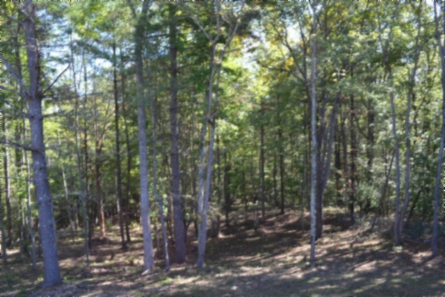 688 Boone Ridge Road Jamestown, TN 38556 - Photo 44 of 71 Gallery Image 44