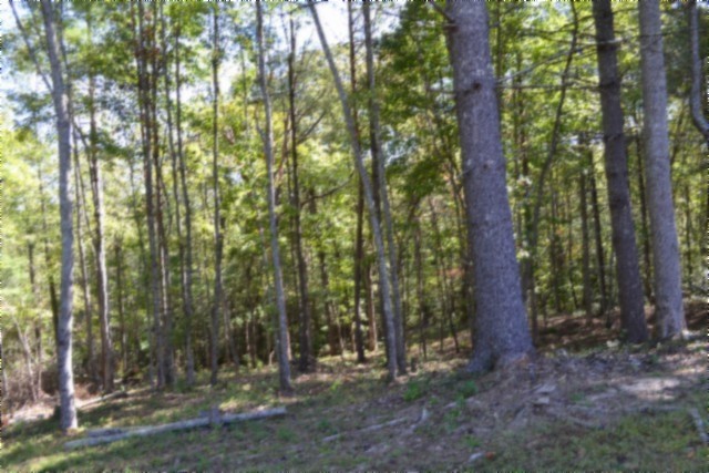 688 Boone Ridge Road Jamestown, TN 38556 - Photo 53 of 71 Gallery Image 53