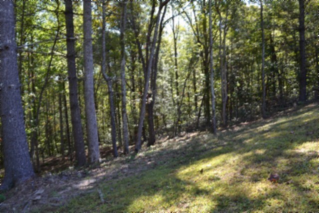 688 Boone Ridge Road Jamestown, TN 38556 - Photo 54 of 71 Gallery Image 54