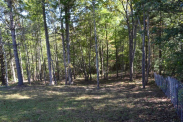 688 Boone Ridge Road Jamestown, TN 38556 - Photo 56 of 71 Gallery Image 56